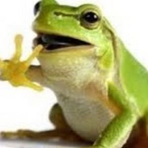 Meet your Posher, Simona